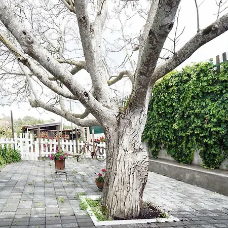 Nyaraló Colares Yard House Sintra